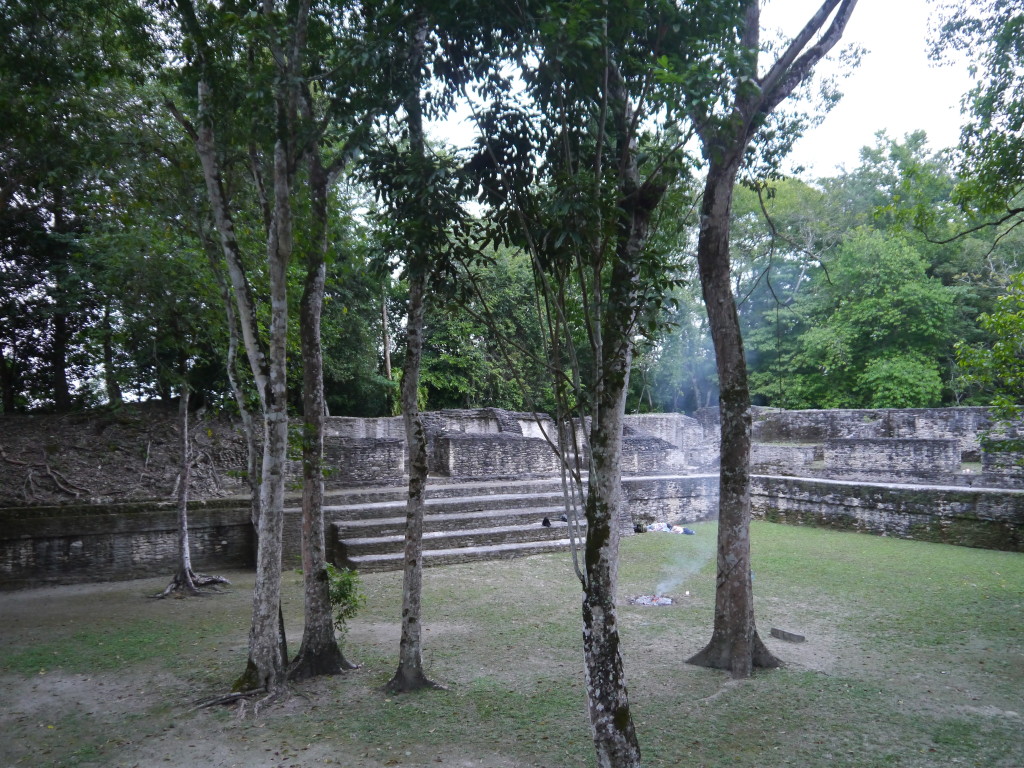 P1130377